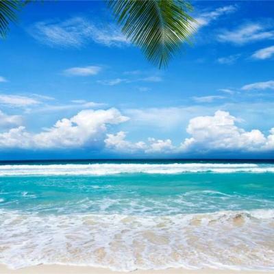 bbin彩票官网截图