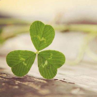 BOB体育综合app入口