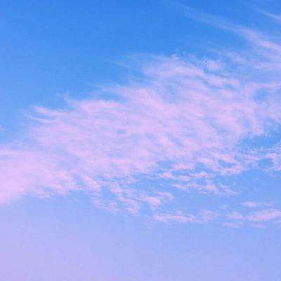 亿博·app官方网站