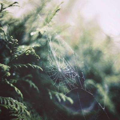 金沙官方登录入口